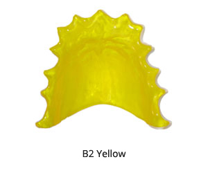 B2 Yellow