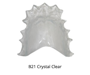 B21 Crystal Clear