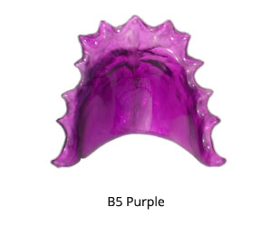 B5 Purple